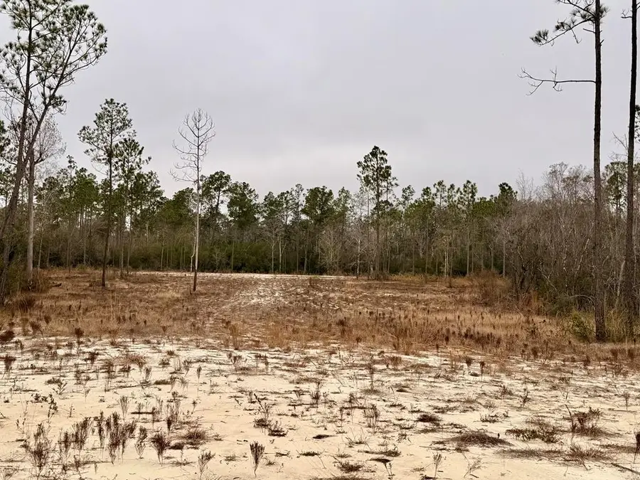 TBD E Creekview Dr, Wewahitchka, FL 32465 - #2