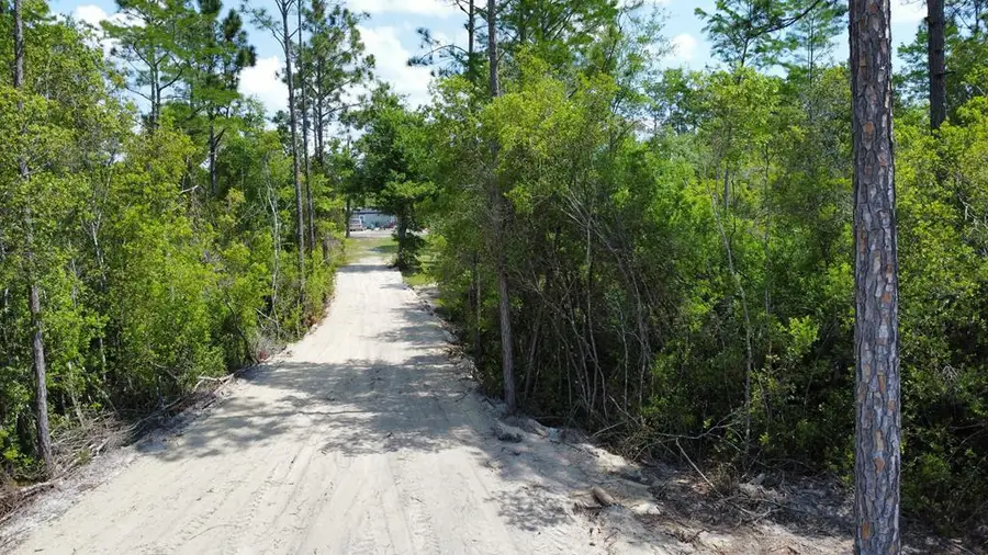 TBD E Creekview Dr, Wewahitchka, FL 32465 - #3