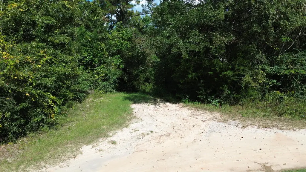 388 N Bass Dr, Wewahitchka, FL 32465 - #1