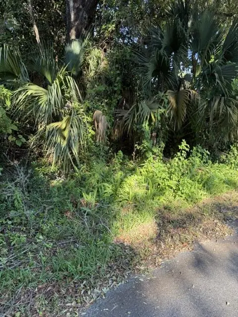 Lot 9 13th St, Apalachicola, FL 32320 - #3