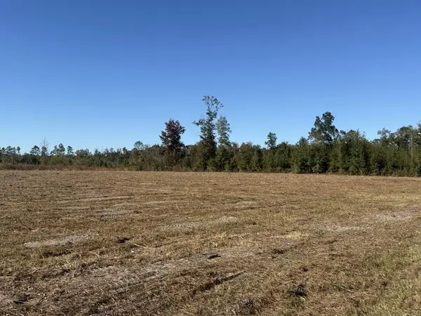 Lot 1 Hwy 71, Wewahitchka, FL 32465