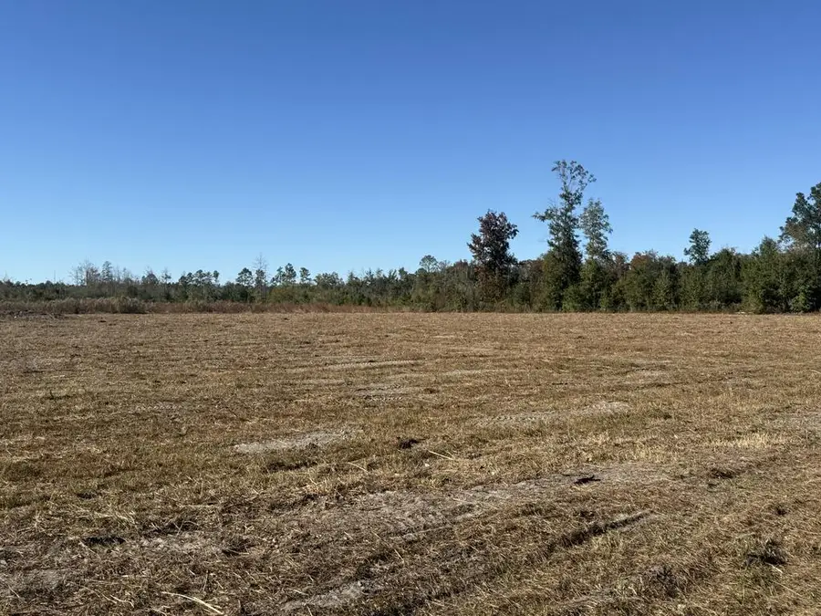 Lot 1 Hwy 71, Wewahitchka, FL 32465 - #3