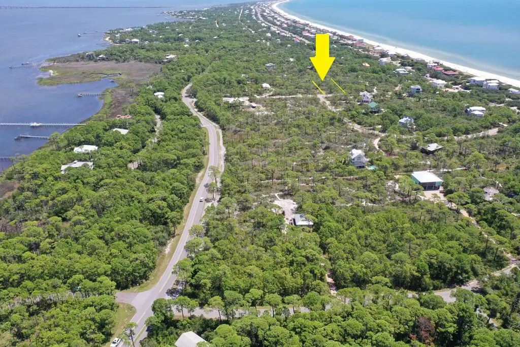 1320 Azalea Dr, Saint George Island, FL 32328 - #1