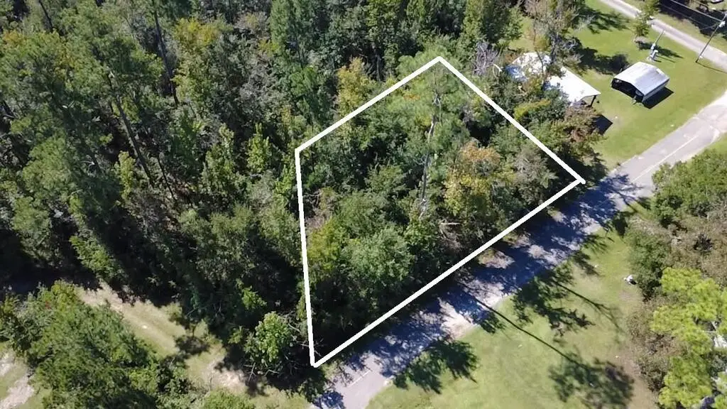 TBA King Ave, Wewahitchka, FL 32465 - #1