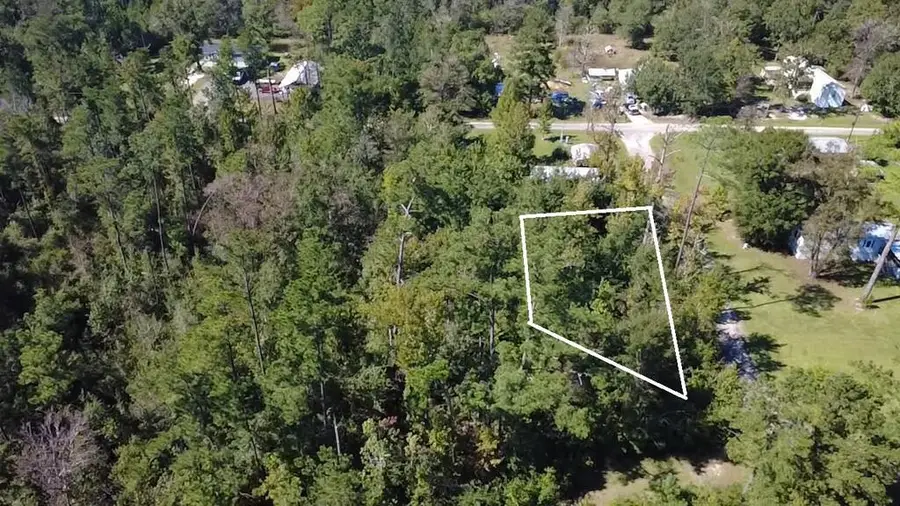 TBA King Ave, Wewahitchka, FL 32465 - #3