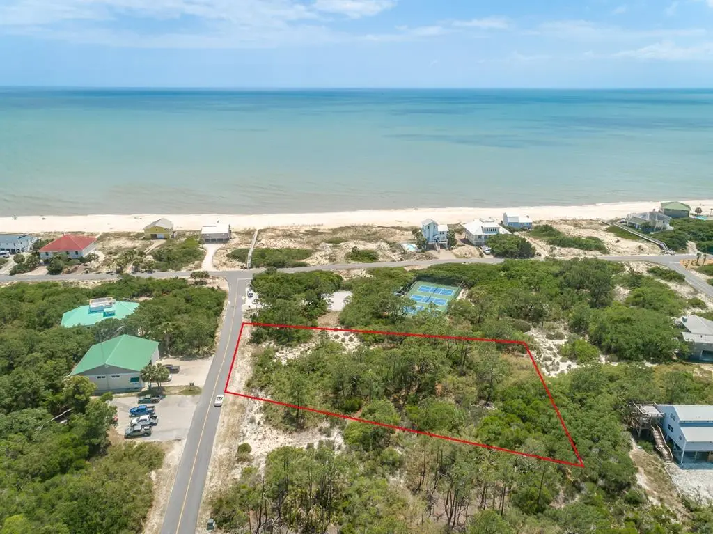1224 Sea Pines Pl, Saint George Island, FL 32328 - #1