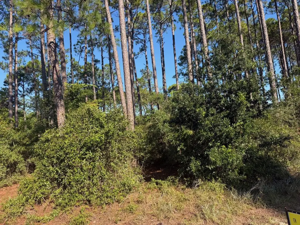 3465 Firefly Cir, Saint Teresa, FL 32358 - #1