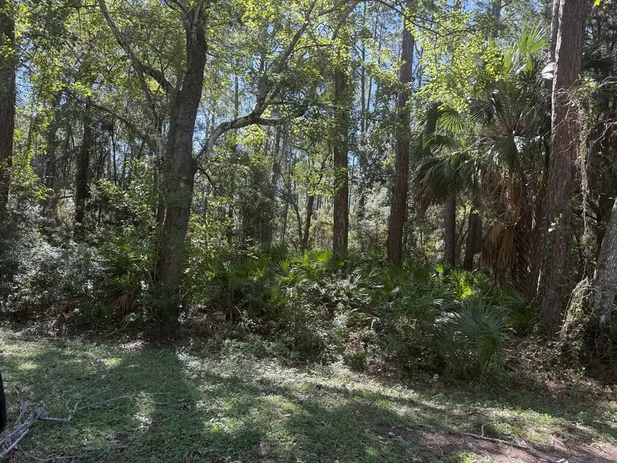 3 Marks St, Apalachicola, FL 32320 - #3