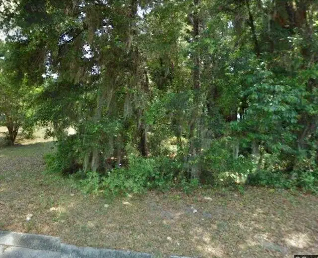 6080 E Elgin Lane, Inverness Highlands South, FL 34452 - #1