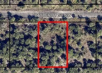 1058 Bayberry Street Sw, Palm Bay, FL 32908