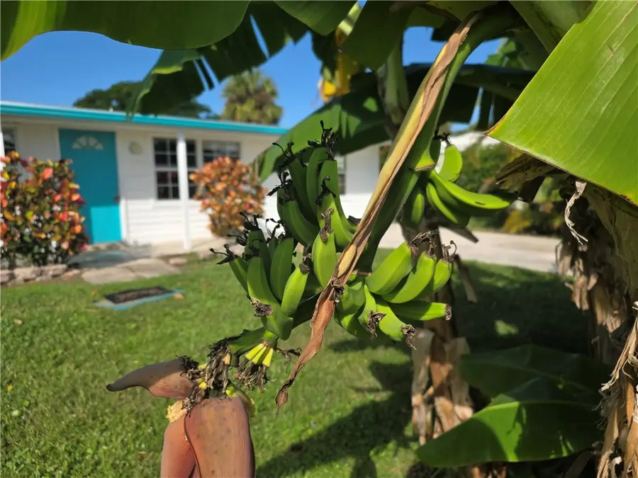 1441 4th Avenue, Vero Beach, FL 32960 - Image #3