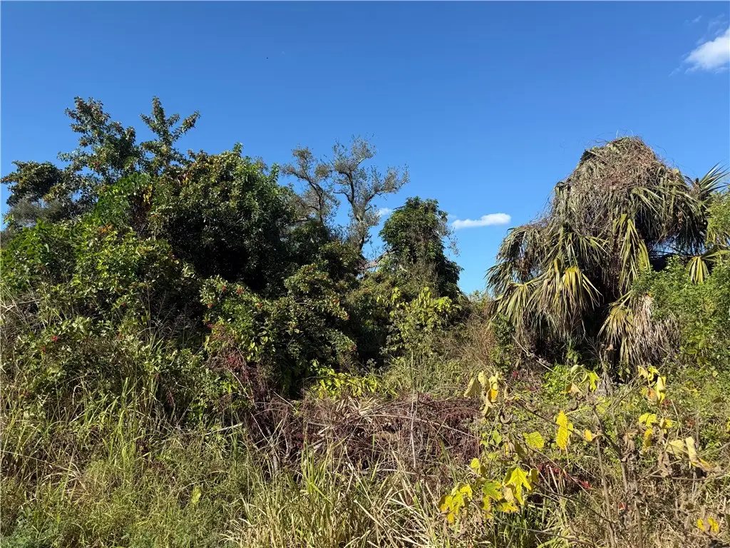 1810 38th Place, Vero Beach, FL 32960 - #1