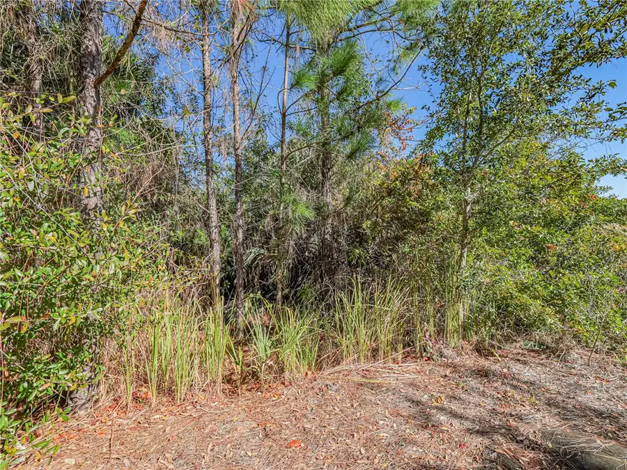 548 Saragassa Avenue Sw, Palm Bay, FL 32908 - #3