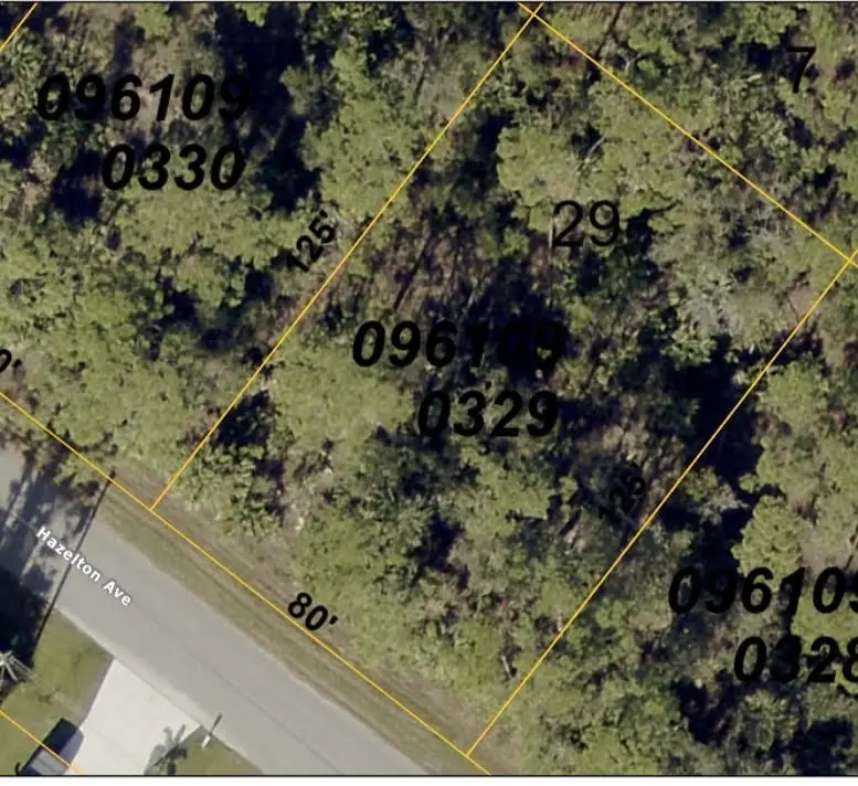 Lot 29 Hazelton Avenue, North Port, FL 34286 - #1