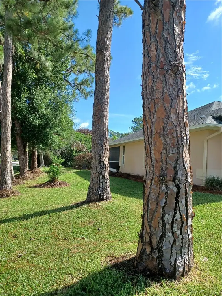 793 Tuxedo Terrace, Sebastian, FL 32958 - #3