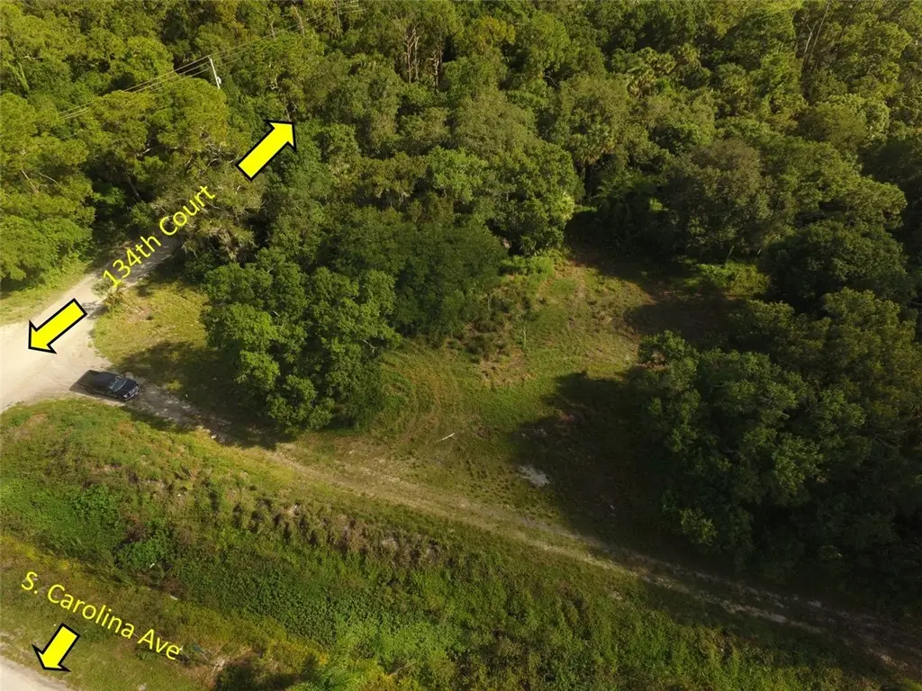 9810 134th Court, Fellsmere, FL 32948 - #1