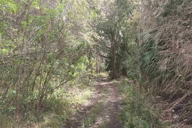 0 E Essex Road, Hastings, FL 32145 - #3