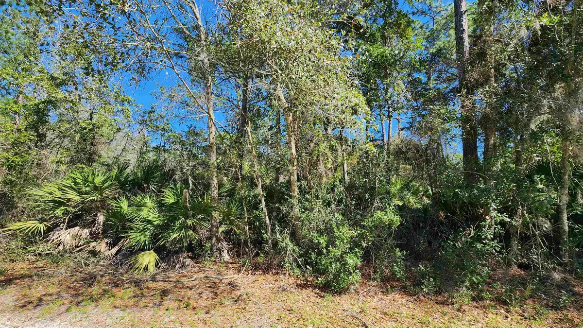 00 Mourning Dove Rd, Satsuma, FL 32189 - #1