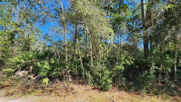 00 Mourning Dove Rd, Satsuma, FL 32189