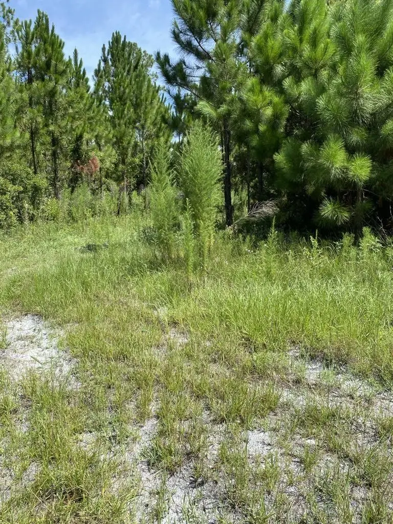 550 W River Road, Palatka, FL 32177 - #3