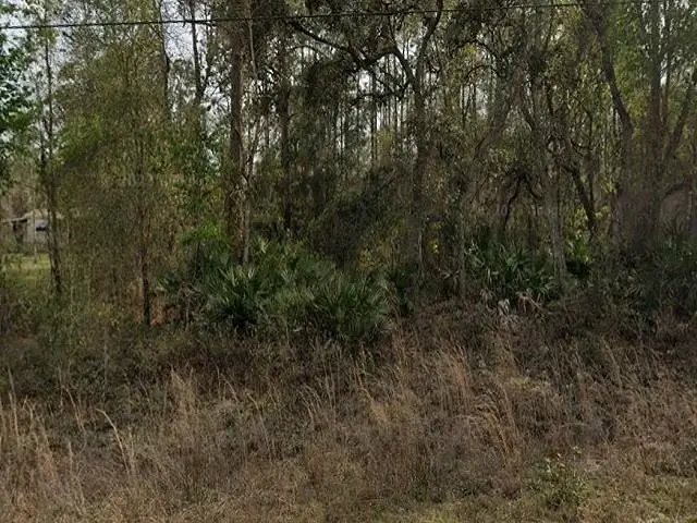 0 Britt, Interlachen, FL 32148 - #1