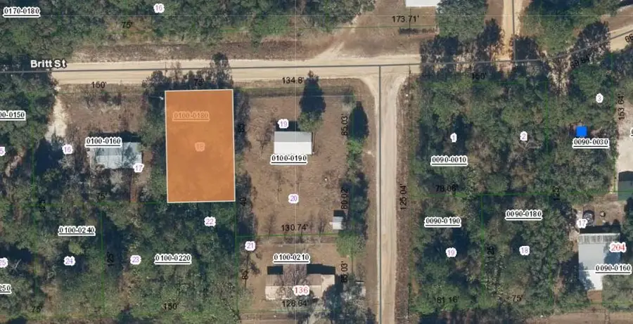 0 Britt, Interlachen, FL 32148 - #2