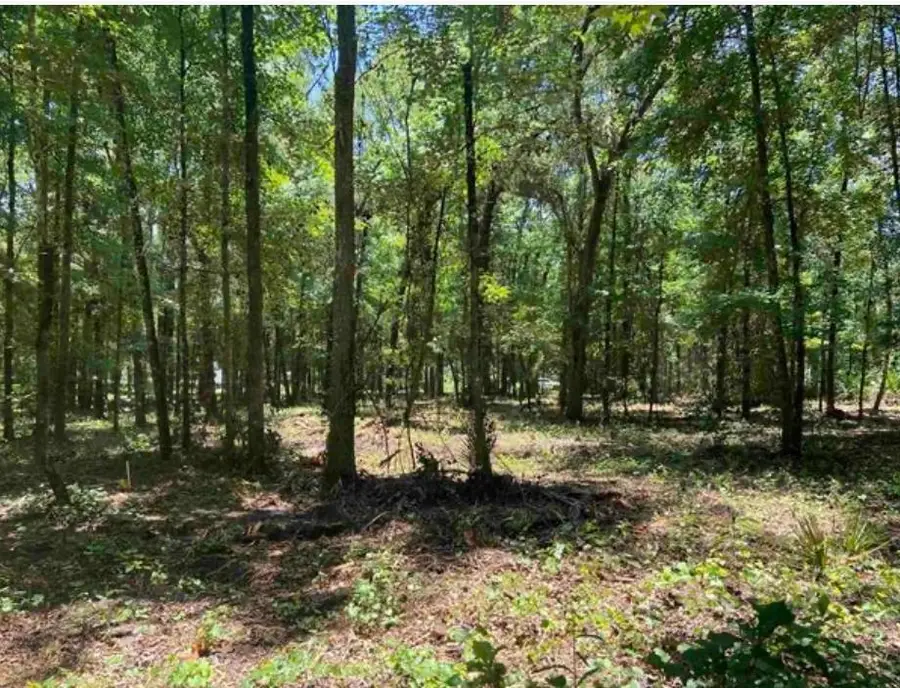 4810 Noel Street, Hastings, FL 32145 - Image #3