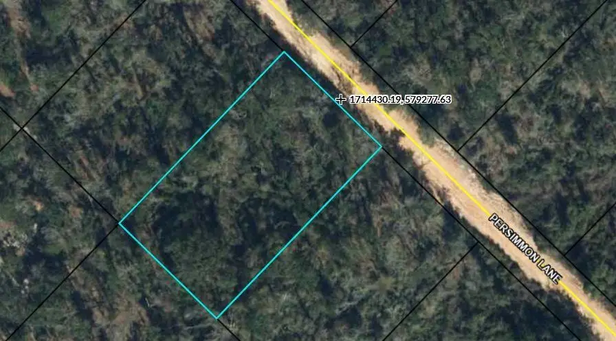 TBD Persimmon Lane, Marianna, FL 32446 - #1