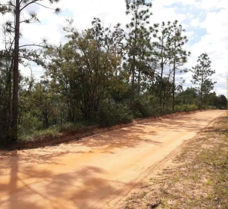 TBD Persimmon Lane, Marianna, FL 32446 - #3