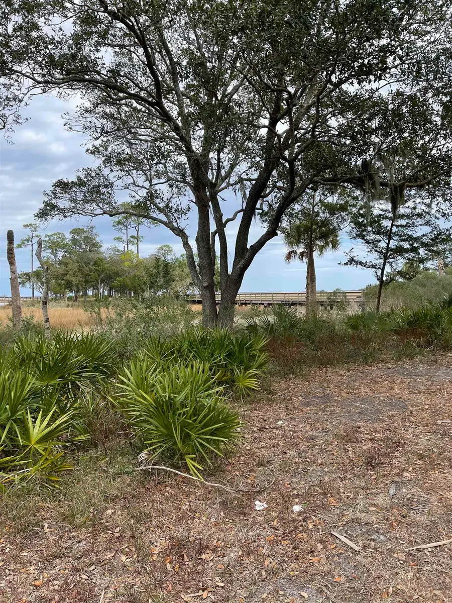 29071 Grandview Manor, Yulee, FL 32097 - Image #3