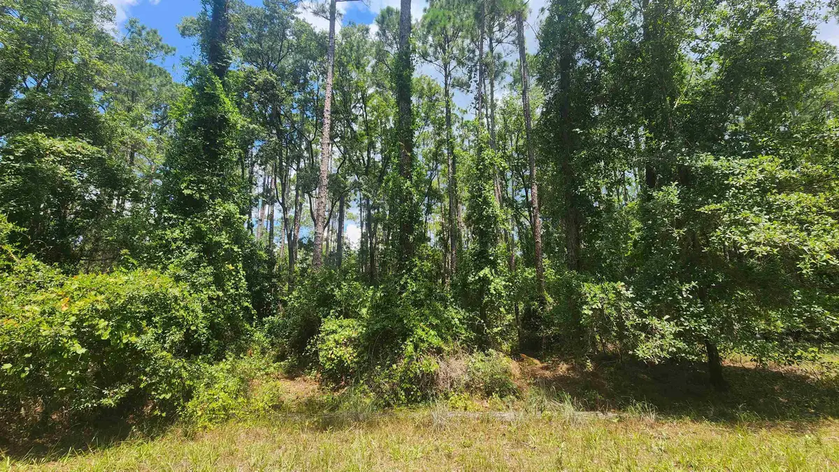 130 Helen Ave, Georgetown, FL 32139 - #1