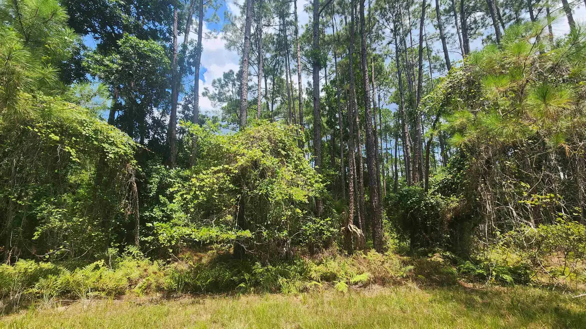 126 Helen Ave, Georgetown, FL 32139 - #1