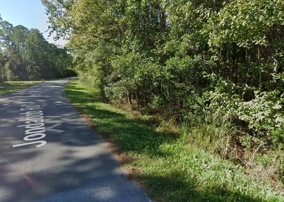 161 Jondabob Rd, Green Cove Springs, FL 32043 - #1