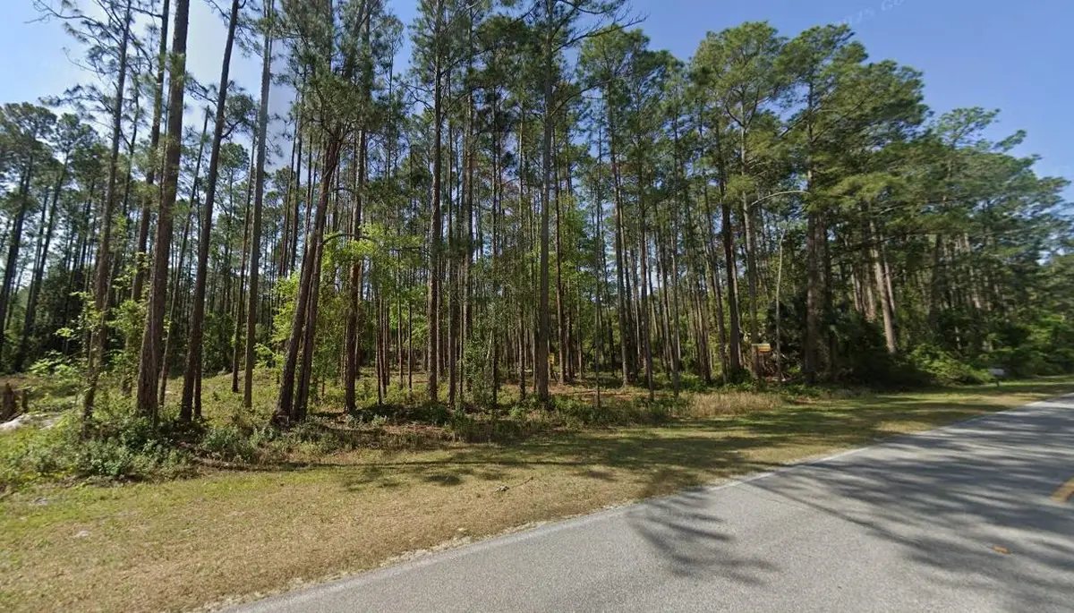 243 & 245 Georgetown Denver Rd, Georgetown, FL 32139 - #1