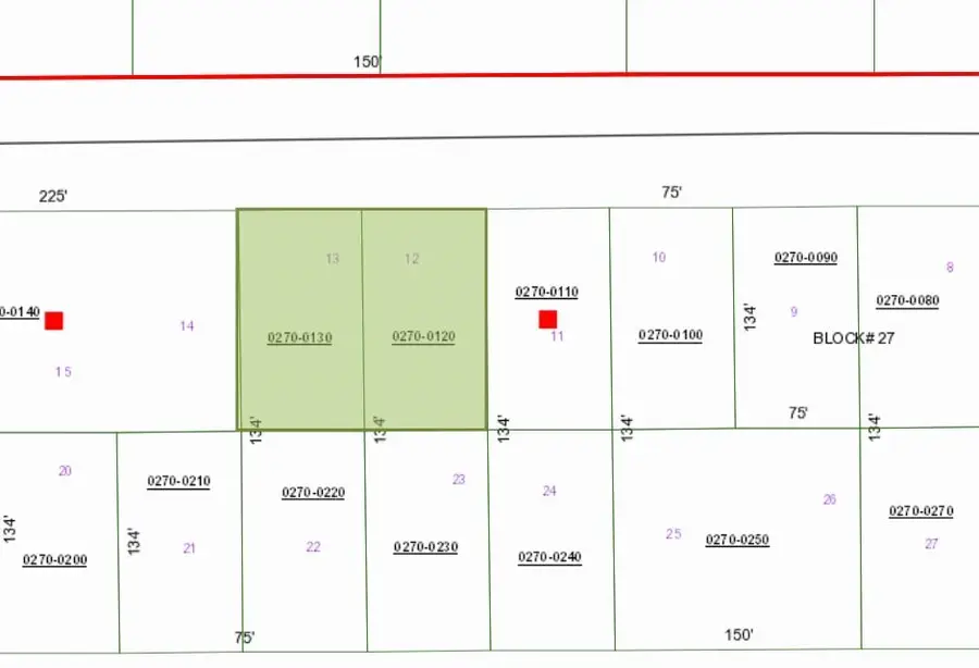 243 & 245 Georgetown Denver Rd, Georgetown, FL 32139 - #3