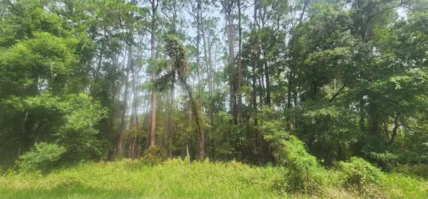 422 Dogwood Ave, Georgetown, FL 32139