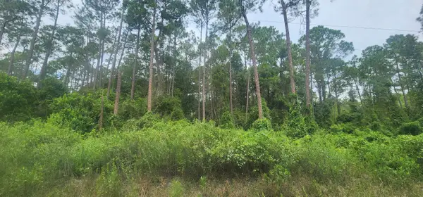 220 2nd St, Georgetown, FL 32139