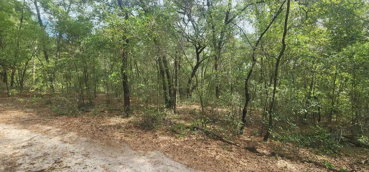 Tbd Helen Place, Hawthorne, FL 32640 - #1