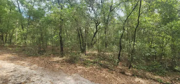 Tbd Helen Place, Hawthorne, FL 32640