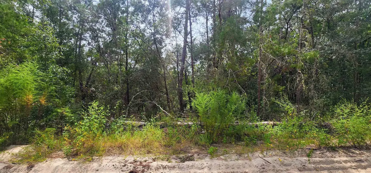 109 Locevan Ln, Florahome, FL 32140 - #1