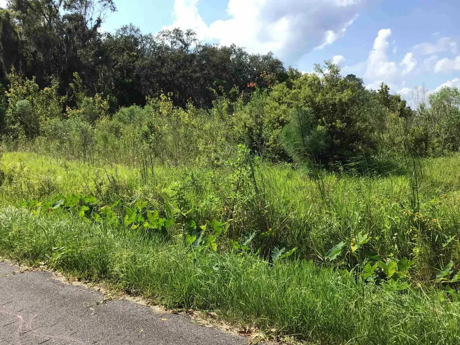 102 Kingsley St, East Palatka, FL 32131 - #2