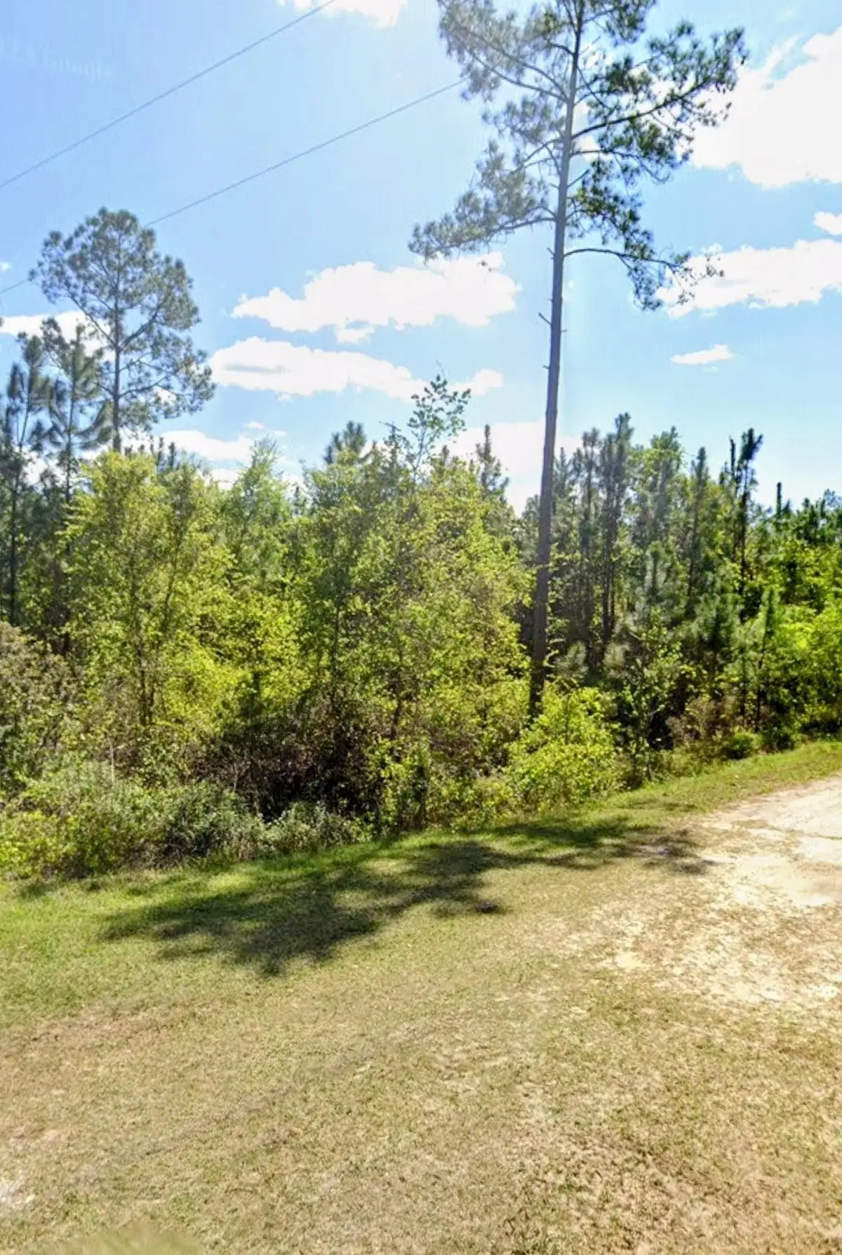 TBD Birch Blvd, Georgetown, FL 32139 - #1