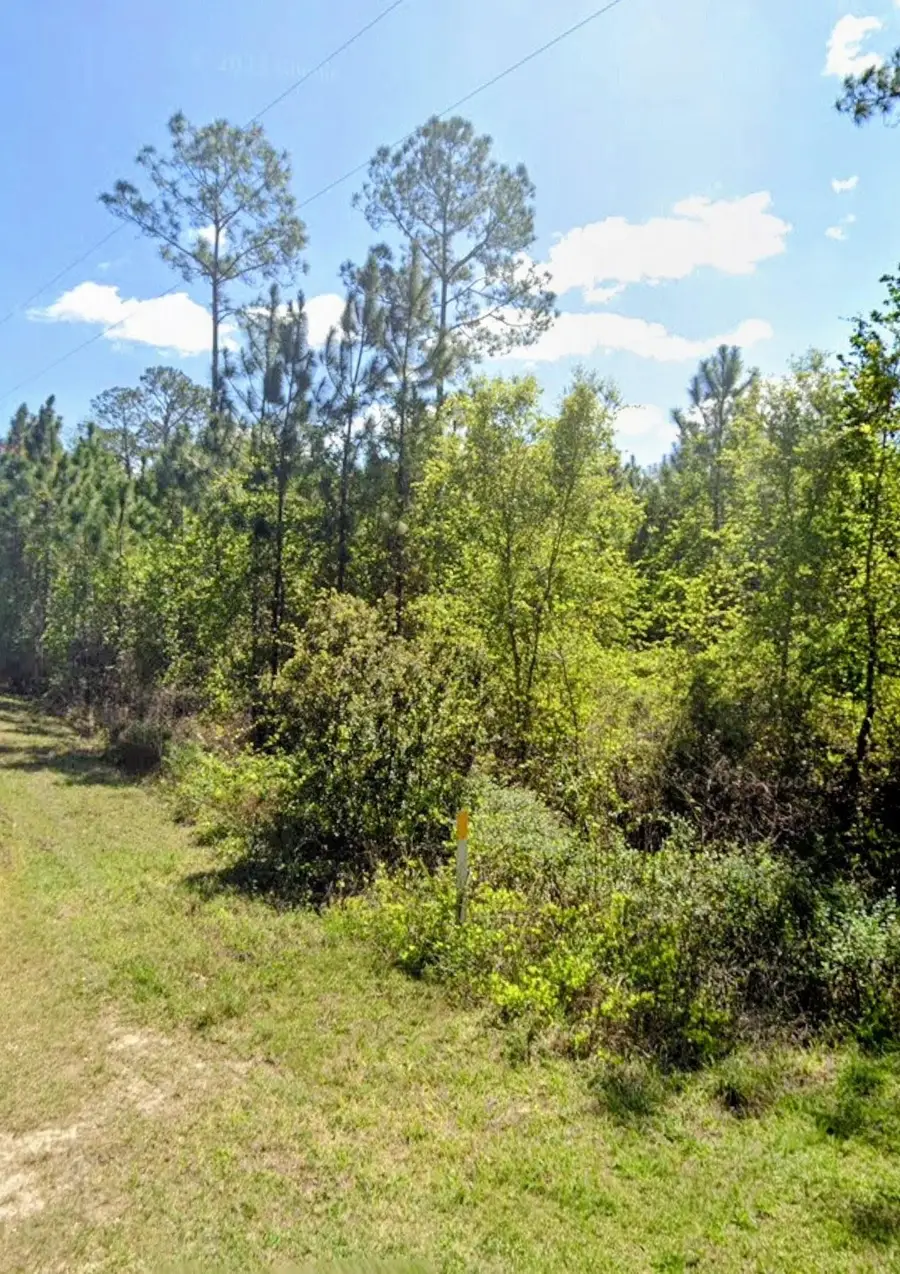 TBD Birch Blvd, Georgetown, FL 32139 - #2