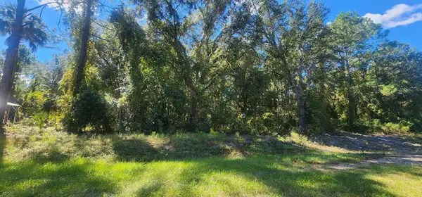 915 Paradise Blvd, Georgetown, FL 32139