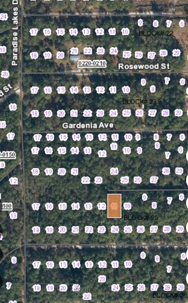 113 Palm Way, Georgetown, FL 32139