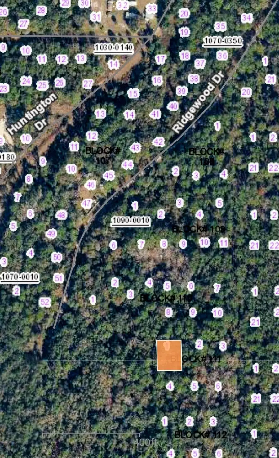 105 Bahama Ct, Georgetown, FL 32139 - #2