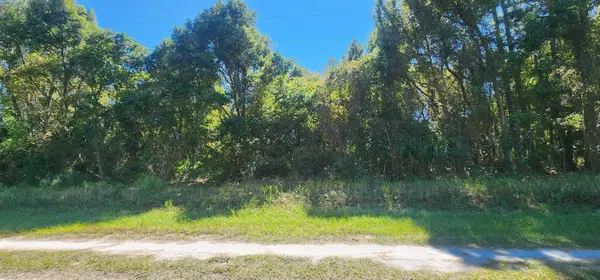 431 Redwood Blvd, Georgetown, FL 32139