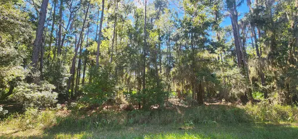 205 Terri Ave, Georgetown, FL 32139