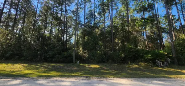 TBD Bowfin Dr, Palatka, FL 32177