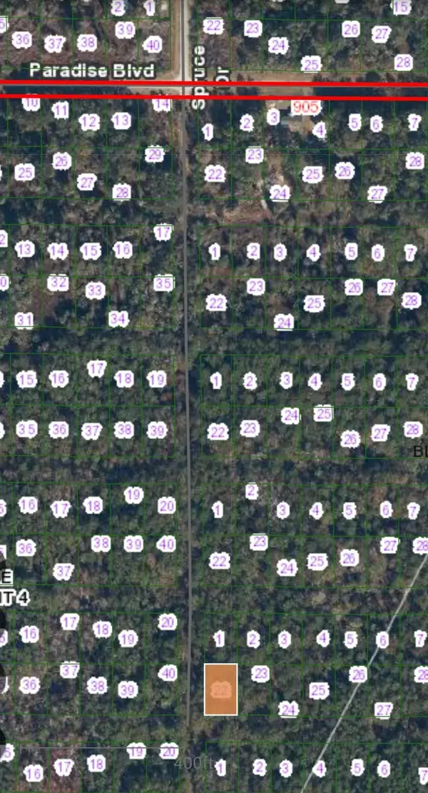 TBD Siesta Dr, Georgetown, FL 32139